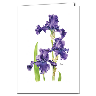 Purple iris greeting card featuring elegant petals and rich garden color