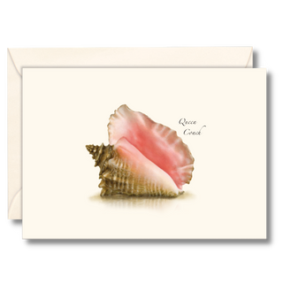 Queen conch notecard inspired by coastal shells, created by expert illustrators