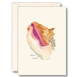 Queen conch notecard inspired by tropical seas