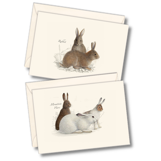 Rabbit and hare notecard assortment inspired by woodland life