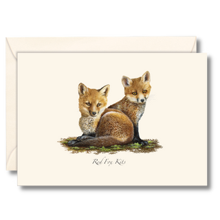 Red fox kits notecard created by expert illustrators, boxed in recyclable plastic from recycled bottles