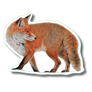 Red fox stickers made in the USA showing a widespread mammal species