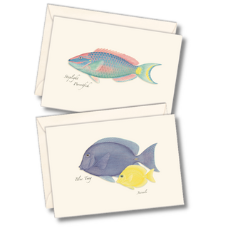 Reef fish notecard assortment inspired by tropical waters