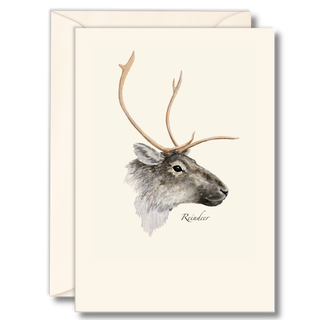 Reindeer notecard celebrating a classic winter animal