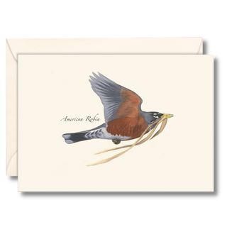 Robin in flight notecard capturing motion and songbird behavior, illustrated by expert naturalists