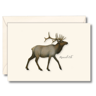 Roosevelt elk notecard highlighting a powerful forest mammal, made in the USA