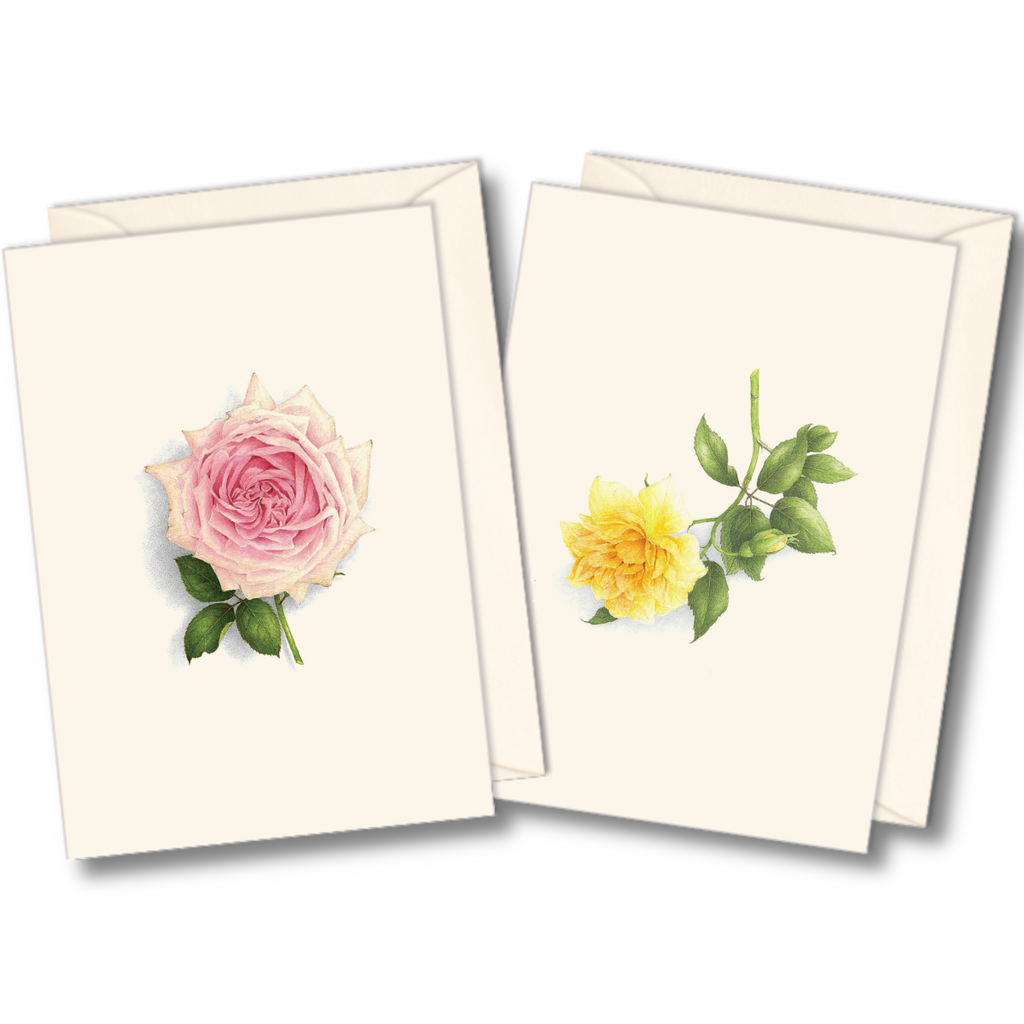 Best Selling Boxed Notecards - Rose Assortment