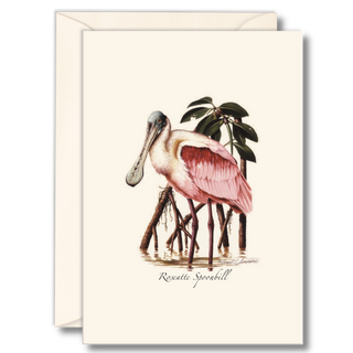 Roseate spoonbill notecard showcasing a vibrant wading bird