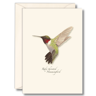 Ruby-throated hummingbird notecard capturing vibrant motion
