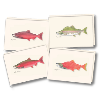 Salmon notecard assortment celebrating native fish species