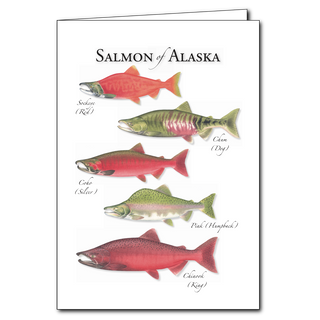 Alaska salmon greeting card celebrating iconic fish runs