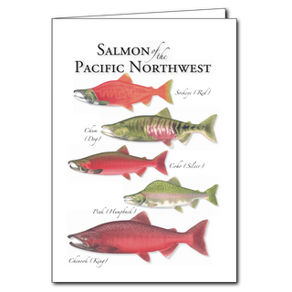 Pacific Northwest salmon greeting card highlighting river species