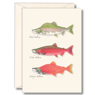 Salmon notecard featuring three iconic freshwater fish, illustrated by experts