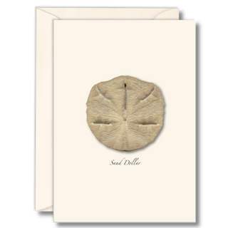 Sand dollar notecard celebrating a classic beach find