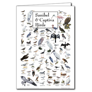 Sanibel and Captiva birds greeting card inspired by island wildlife, blank inside and gift-ready
