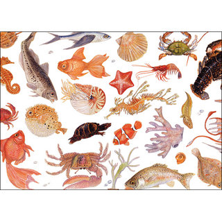 Sea life greeting card celebrating ocean diversity, blank inside and perfect for notes