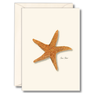 Sea star notecard celebrating intertidal life