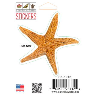 Sea star stickers with vibrant color highlighting a marine invertebrate species
