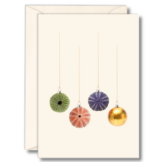 Sea urchin notecard with a festive coastal holiday touch