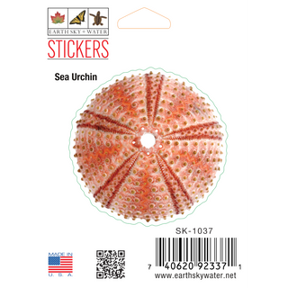 Sea urchin I stickers on durable vinyl highlighting a marine invertebrate