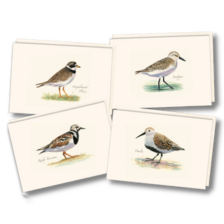 Shorebird notecard assortment inspired by coastal habitats