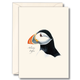 Atlantic puffin notecard inspired by coastal seabirds, made in the USA