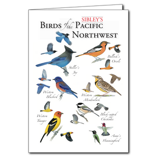 Pacific Northwest birds greeting card inspired by forest and coastal species, blank inside