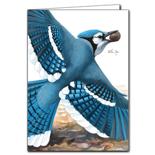 Blue jay greeting card featuring a bold backyard bird, printed on recycled paper in the USA