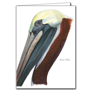 Brown pelican greeting card inspired by coastal flight and shoreline scenes