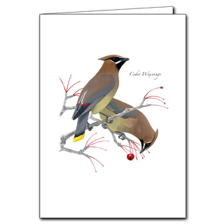 Cedar waxwings greeting card featuring flocking birds, made in the USA on recycled paper