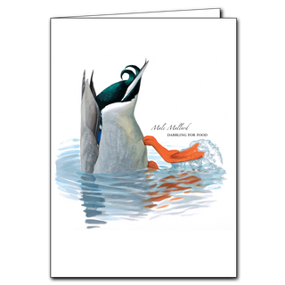 Mallard greeting card showcasing a common duck found on ponds and waterways