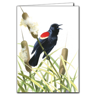 Share your love of nature with this Sibley's Red-Winged Blackbird card. Made of recycled paper