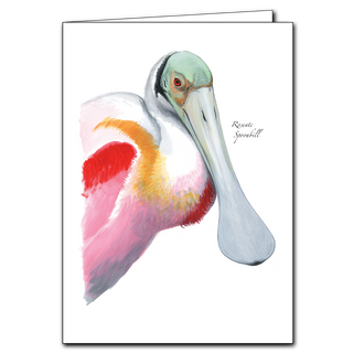 Roseate spoonbill greeting card highlighting striking color and coastal habitats