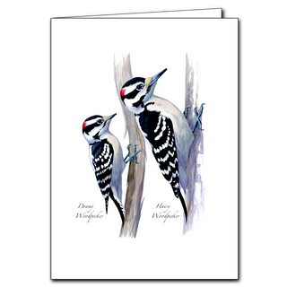 Woodpeckers greeting card inspired by forest birds, made in the USA using recycled paper