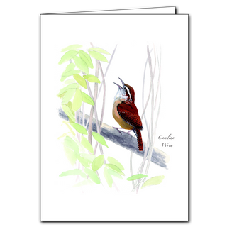Wren greeting card featuring a lively songbird, printed on recycled paper in the USA