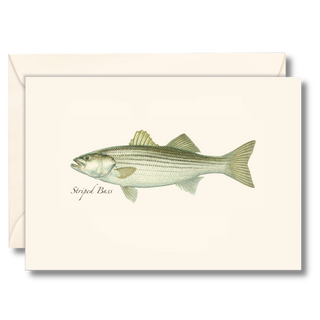 Striped bass notecard inspired by coastal fishing waters