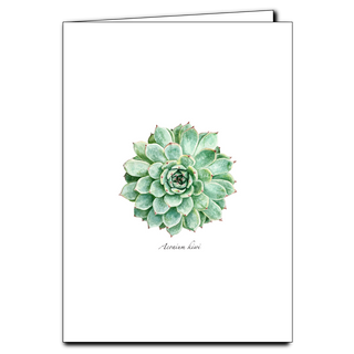 Succulent greeting card celebrating hardy, water-wise plants, printed on recycled paper in the USA