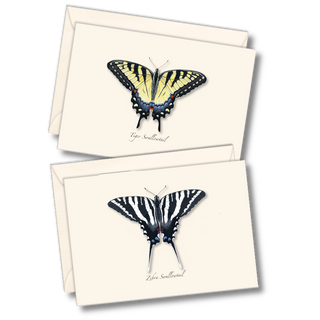 Swallowtail butterfly notecard assortment celebrating native pollinators