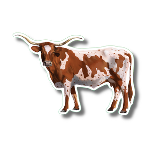 Texas longhorn stickers showing a cattle breed from the southwestern U.S. on durable vinyl
