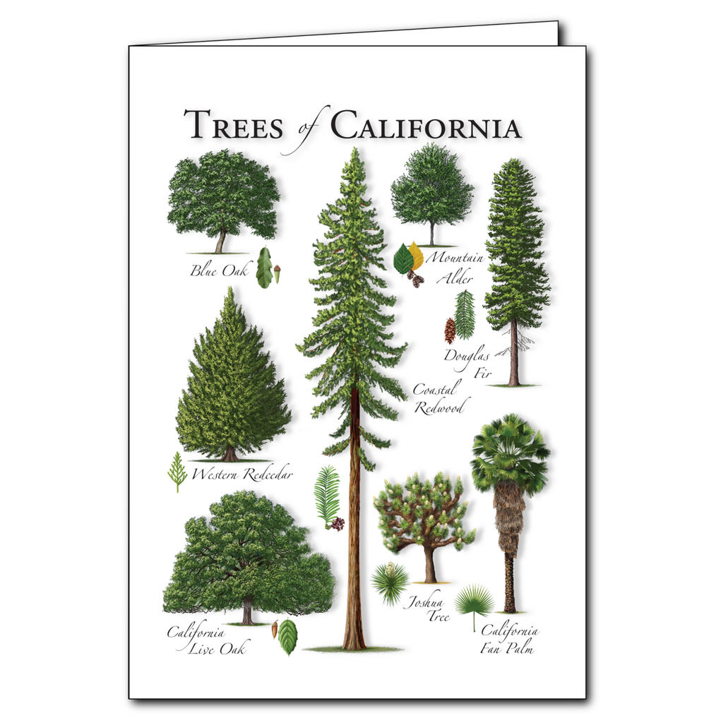 Greeting Cards - Trees of the California - Regional Card – Earth Sky ...