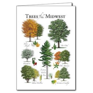 Midwest trees greeting card showcasing native landscapes