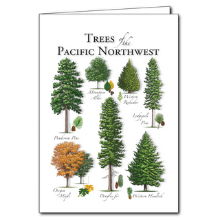 Pacific Northwest trees greeting card celebrating forest life