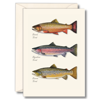 Trout notecard featuring three freshwater fish species
