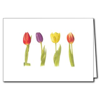 Tulips greeting card celebrating classic spring blooms with bright, uplifting color