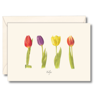 Tulips notecard celebrating classic spring blooms, printed on recycled paper