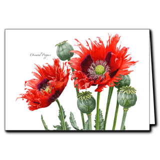 Two poppies greeting card featuring graceful blooms, blank inside and perfect for handwritten messages