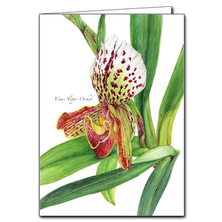 Connect with nature using this Venus Slipper Orchid greeting card. Made from recycled paper