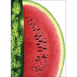 Watermelon greeting card with a fresh summer feel, blank inside and perfect for notes