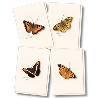 Butterfly notecard assortment celebrating native pollinators
