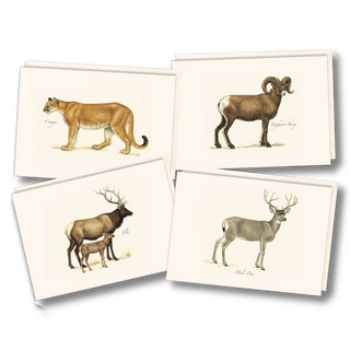 Western mammal notecard assortment celebrating wildlife